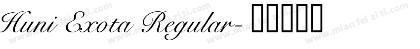 Huni Exota Regular字体转换